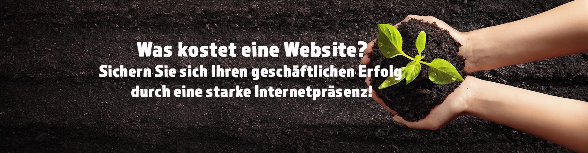 Symbolfoto - was kostet eine Website. Zu sehen sind zwei Hände die eine kleine Pflanze halten.